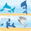 Coleción Animalitos - Tiburones