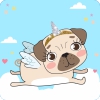 Coleción Animalitos - Cute pet