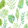 Coleción Juveniles - Natural green