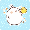 Coleción Kawaii - Pollito